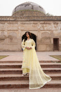 Karma-Saj Dhaj-F-523-Daffodil