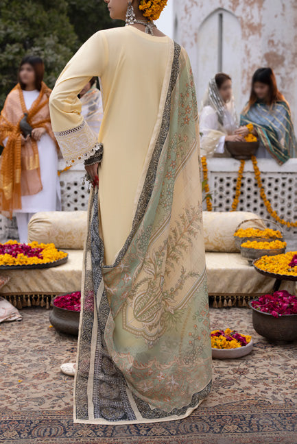 Allure - Summer Cotton - Sherry's wardrobe